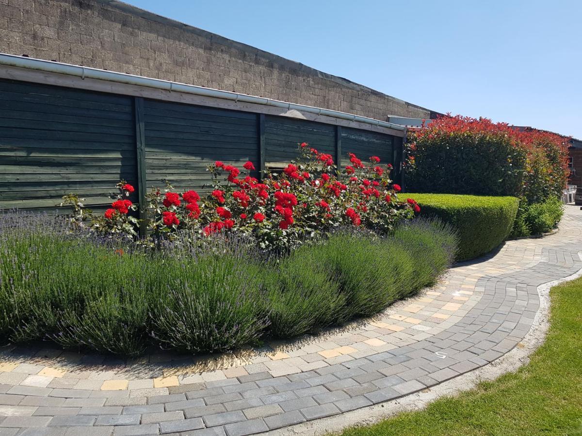 Apartmán De Achtertuin Maasmechelen Exteriér fotografie
