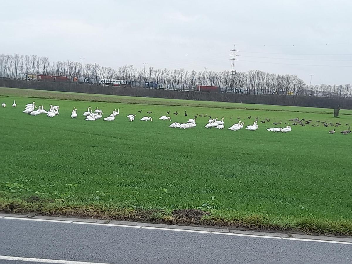 Apartmán De Achtertuin Maasmechelen Exteriér fotografie